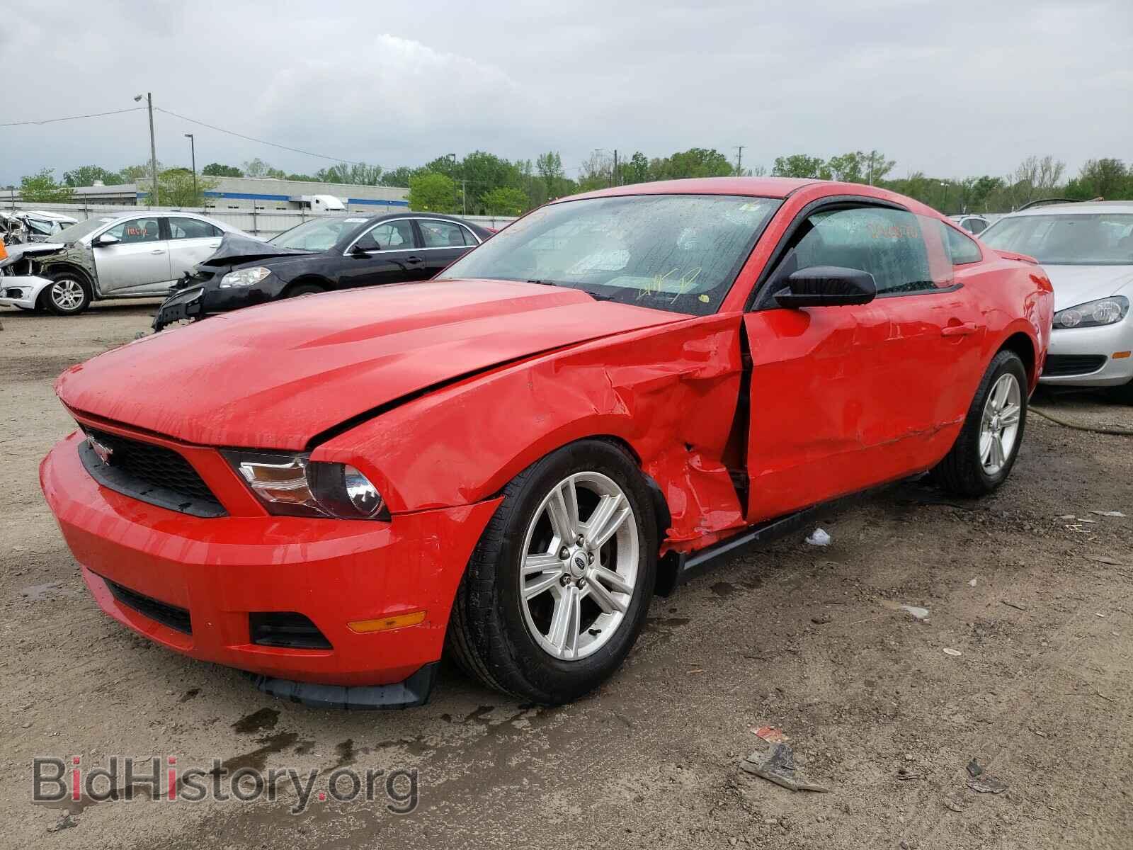 2011 FORD MUSTANG - VIN: 1ZVBP8AM4B5133643 - Фото 2