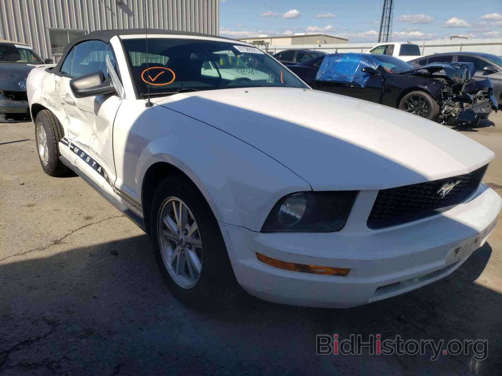 Photo 1ZVFT84N775196549 - FORD MUSTANG 2007