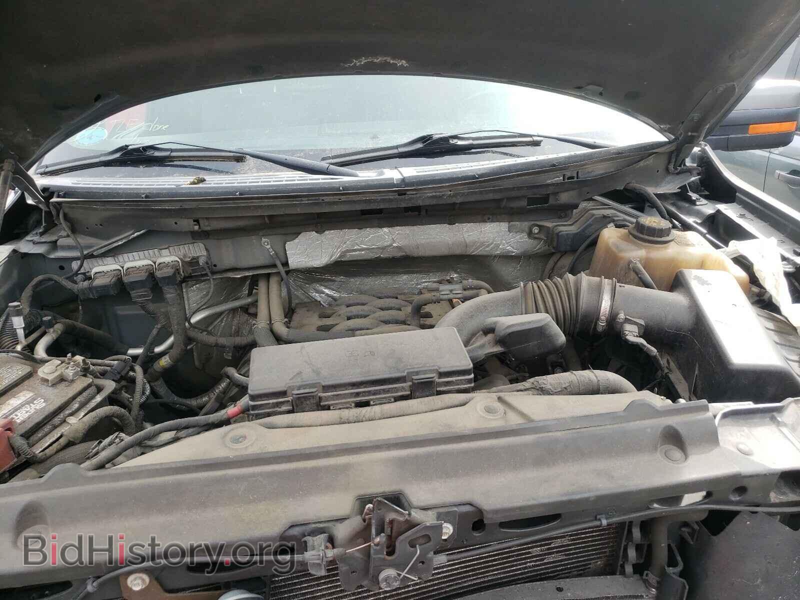 2011 FORD F150 - VIN: 1FTFX1EF7BFA42450 - Фото 7