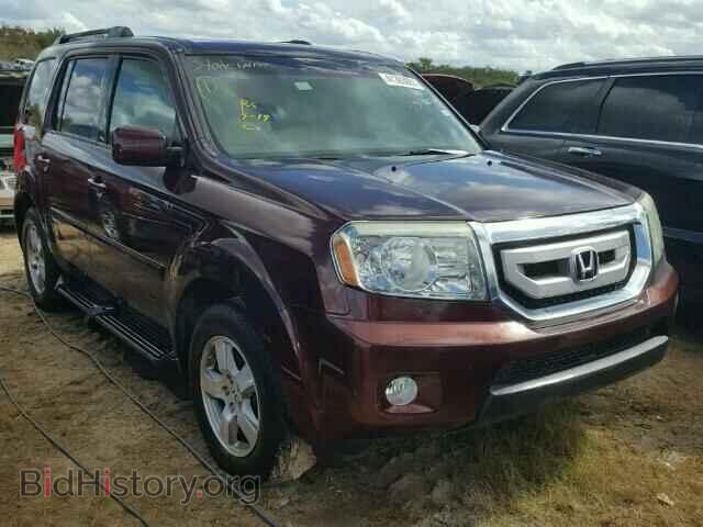 Фотография 5FNYF4H41AB006036 - HONDA PILOT 2010