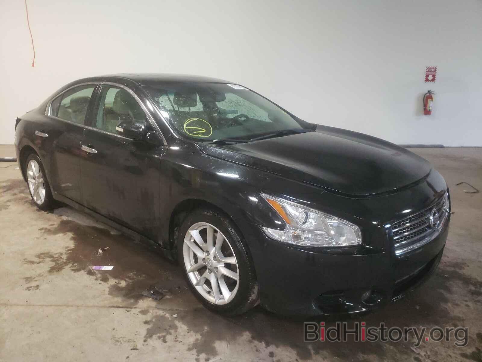 Photo 1N4AA5AP5BC862566 - NISSAN MAXIMA 2011