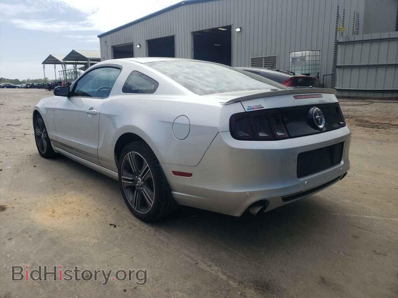 2013 FORD MUSTANG - VIN: 1ZVBP8AM8D5208671 - Фото 3