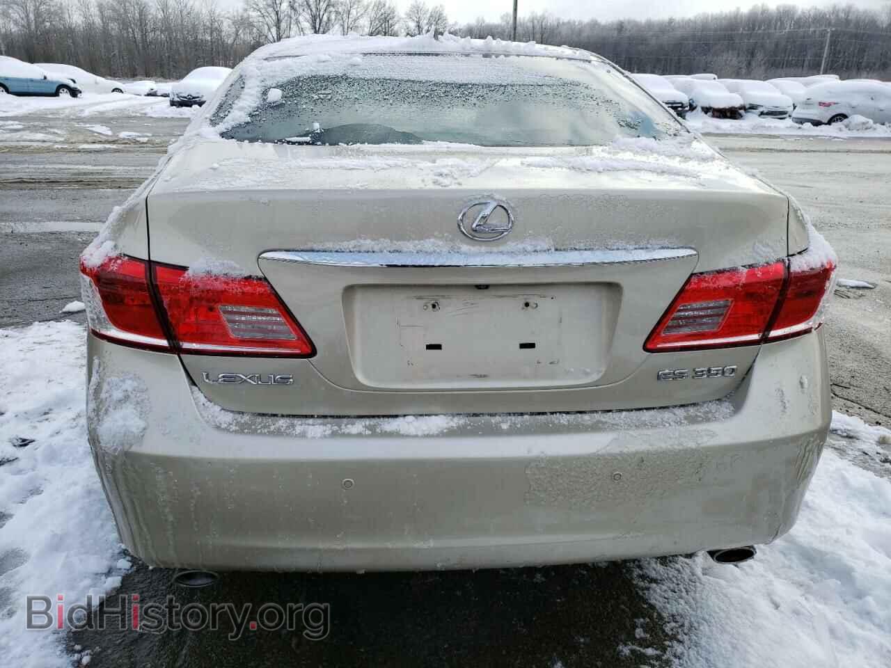 2010 LEXUS ES350 - VIN: JTHBK1EG3A2348409 - Фото 6