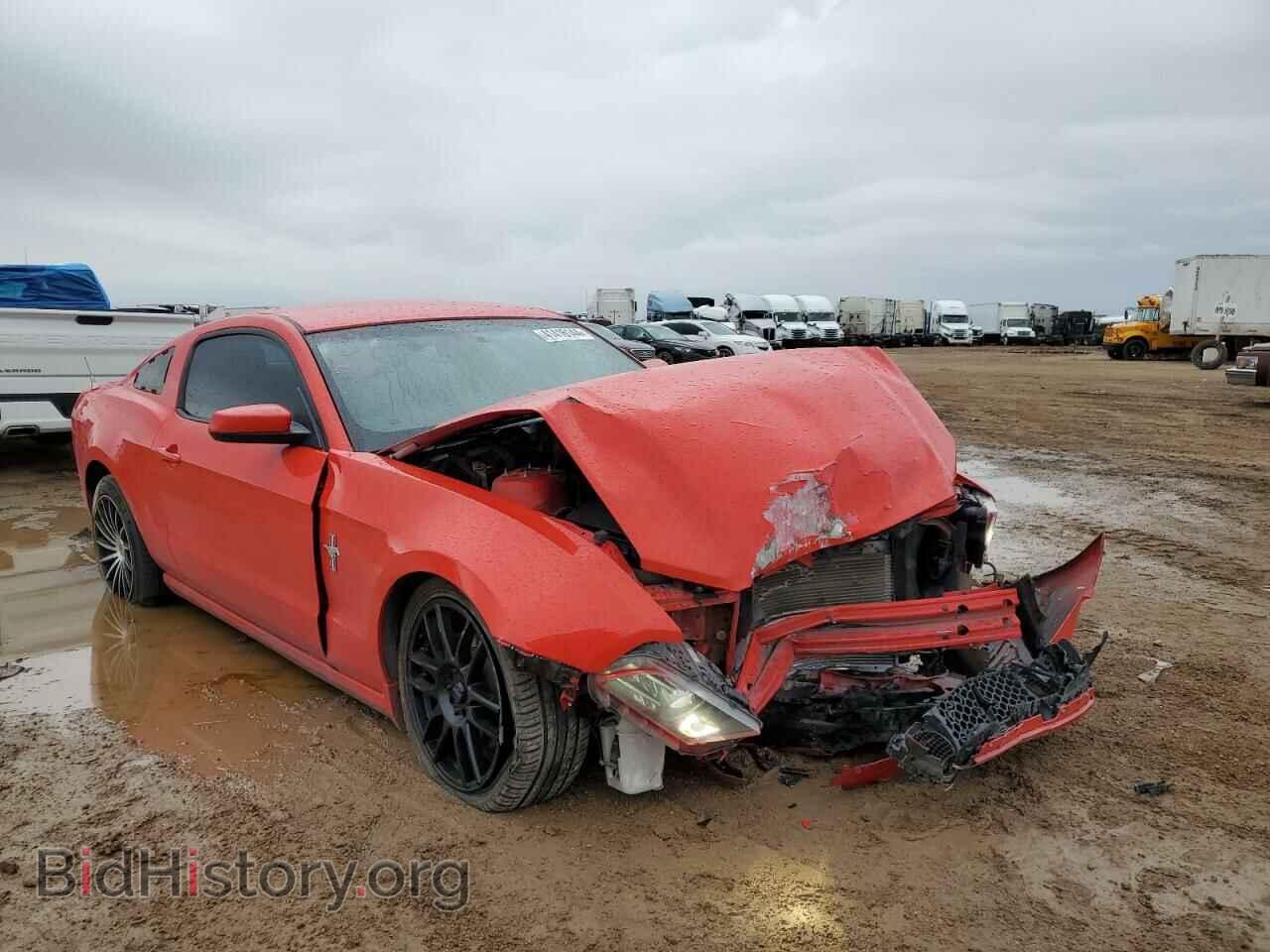 2014 FORD ALL Models - VIN: 1ZVBP8AM6E5304669 - Фото 4