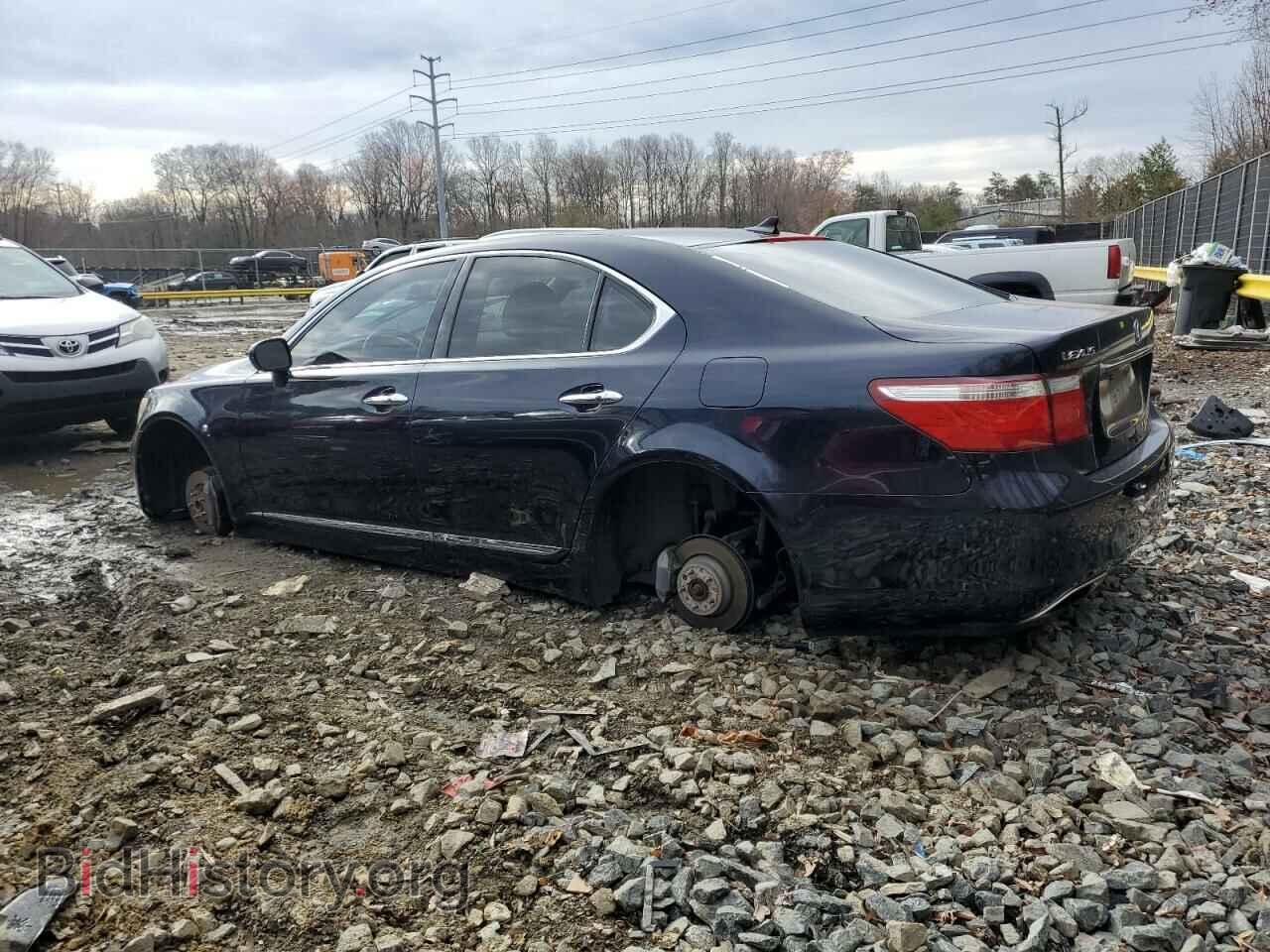 2009 LEXUS LS460 - VIN: JTHBL46F095089408 - Фото 2