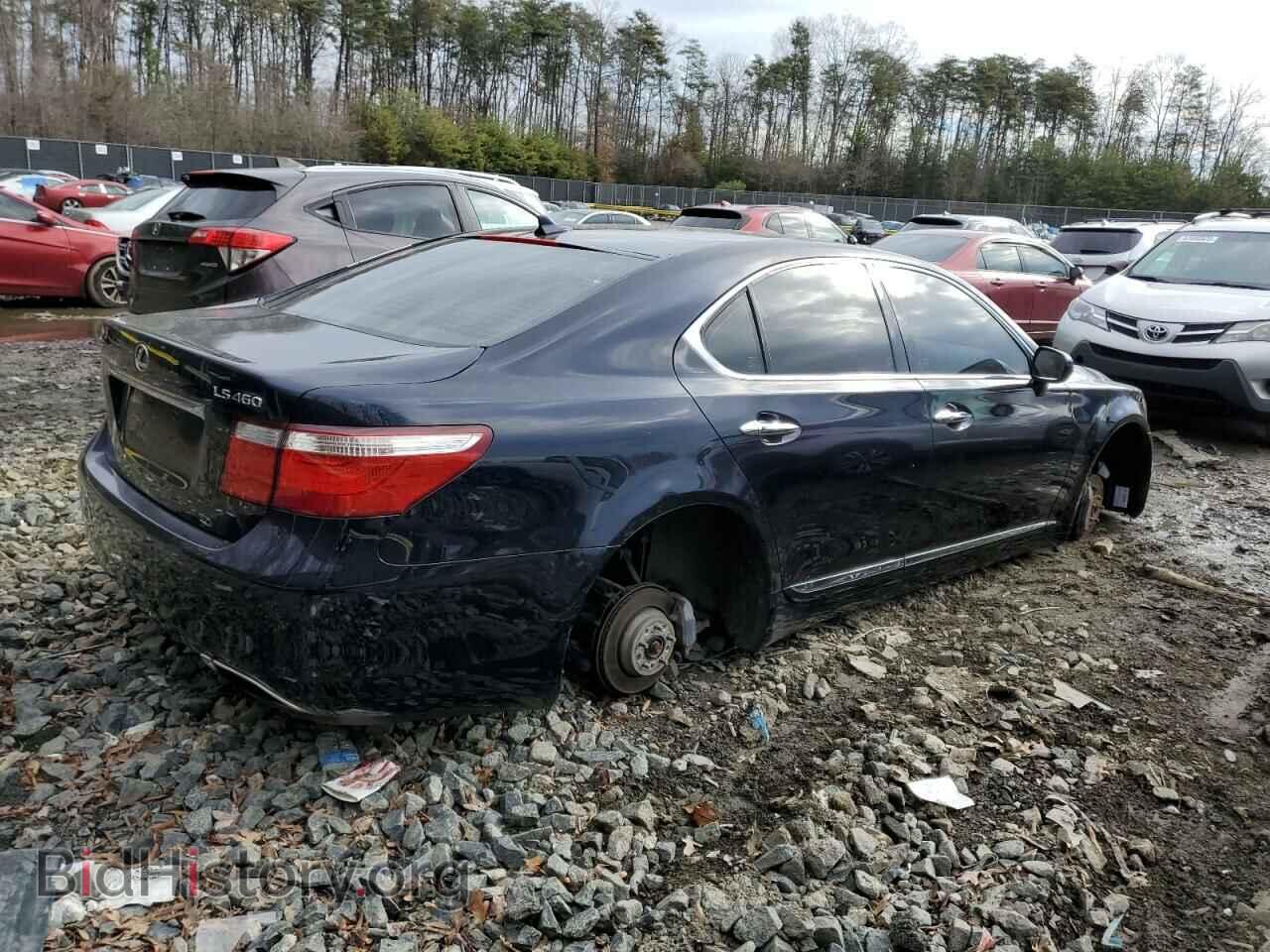 2009 LEXUS LS460 - VIN: JTHBL46F095089408 - Фото 3