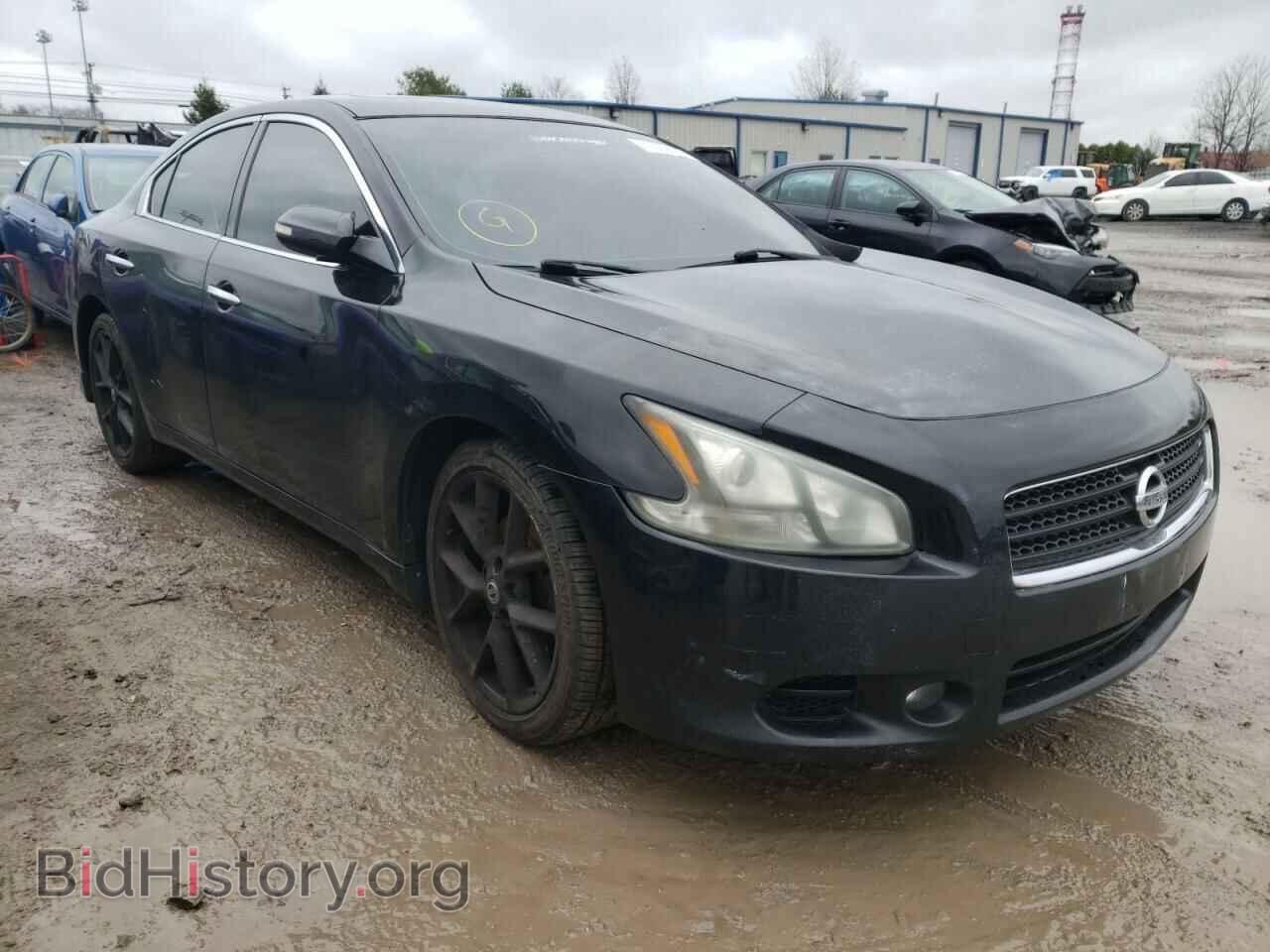 Photo 1N4AA5AP9BC846872 - NISSAN MAXIMA 2011
