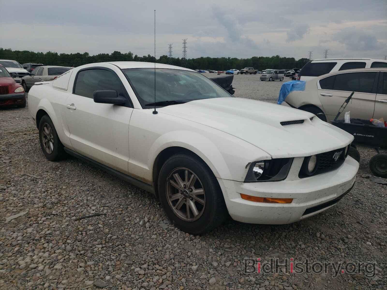 Photo 1ZVHT80N385109519 - FORD MUSTANG 2008