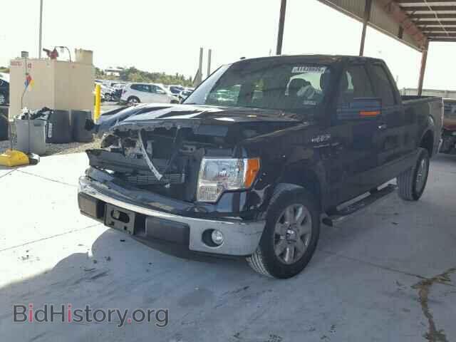 2013 FORD F150 - VIN: 1FTFX1CF3DFE01203 - Фото 2