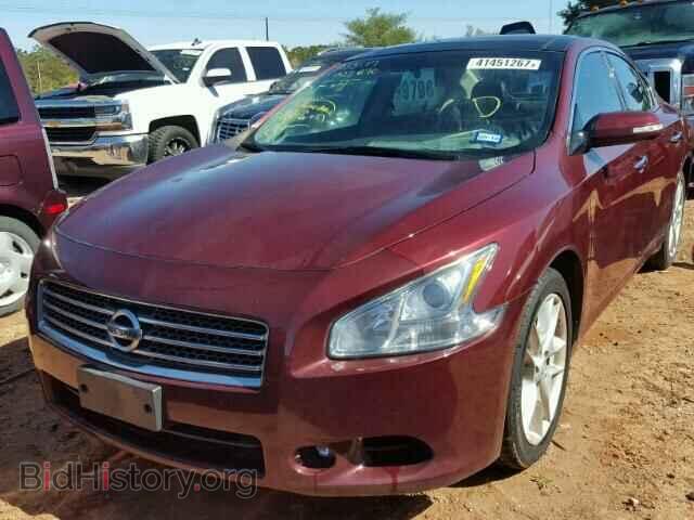 2009 NISSAN MAXIMA - VIN: 1N4AA51E39C833236 - Фото 2