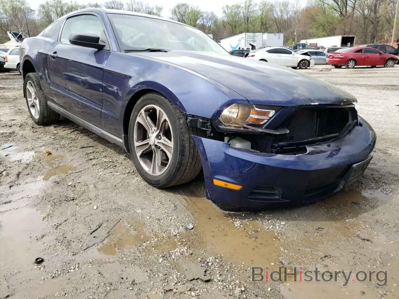 Photo 1ZVBP8AN9A5181274 - FORD MUSTANG 2010
