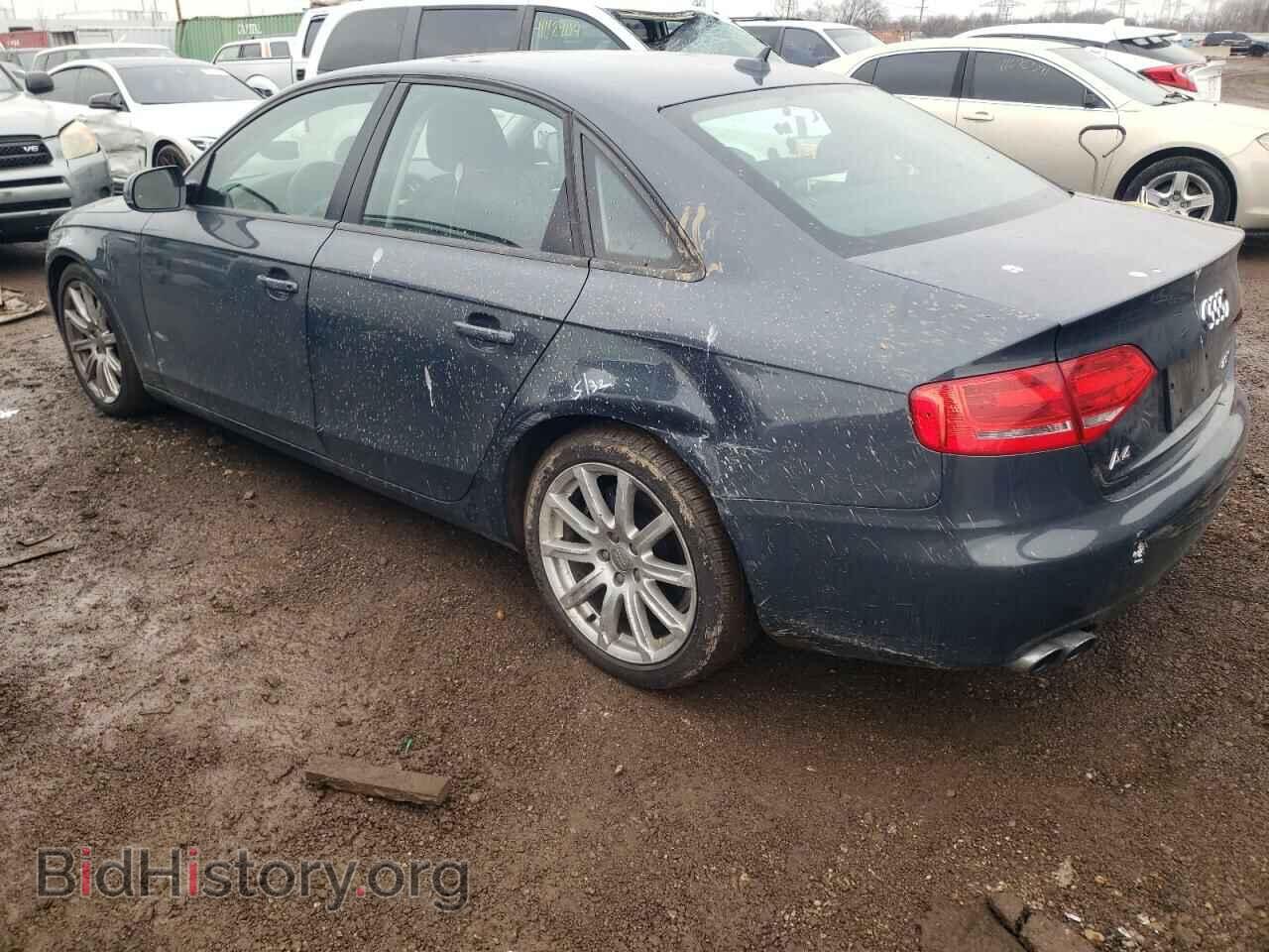 2010 AUDI A4 - VIN: WAUAFAFL3AN011456 - Фото 2