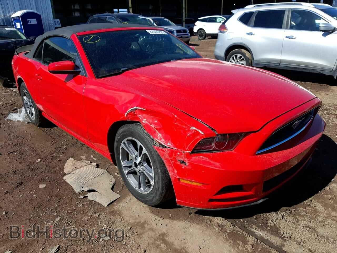 2014 FORD MUSTANG - VIN: 1ZVBP8EM4E5213300 - Фото 4