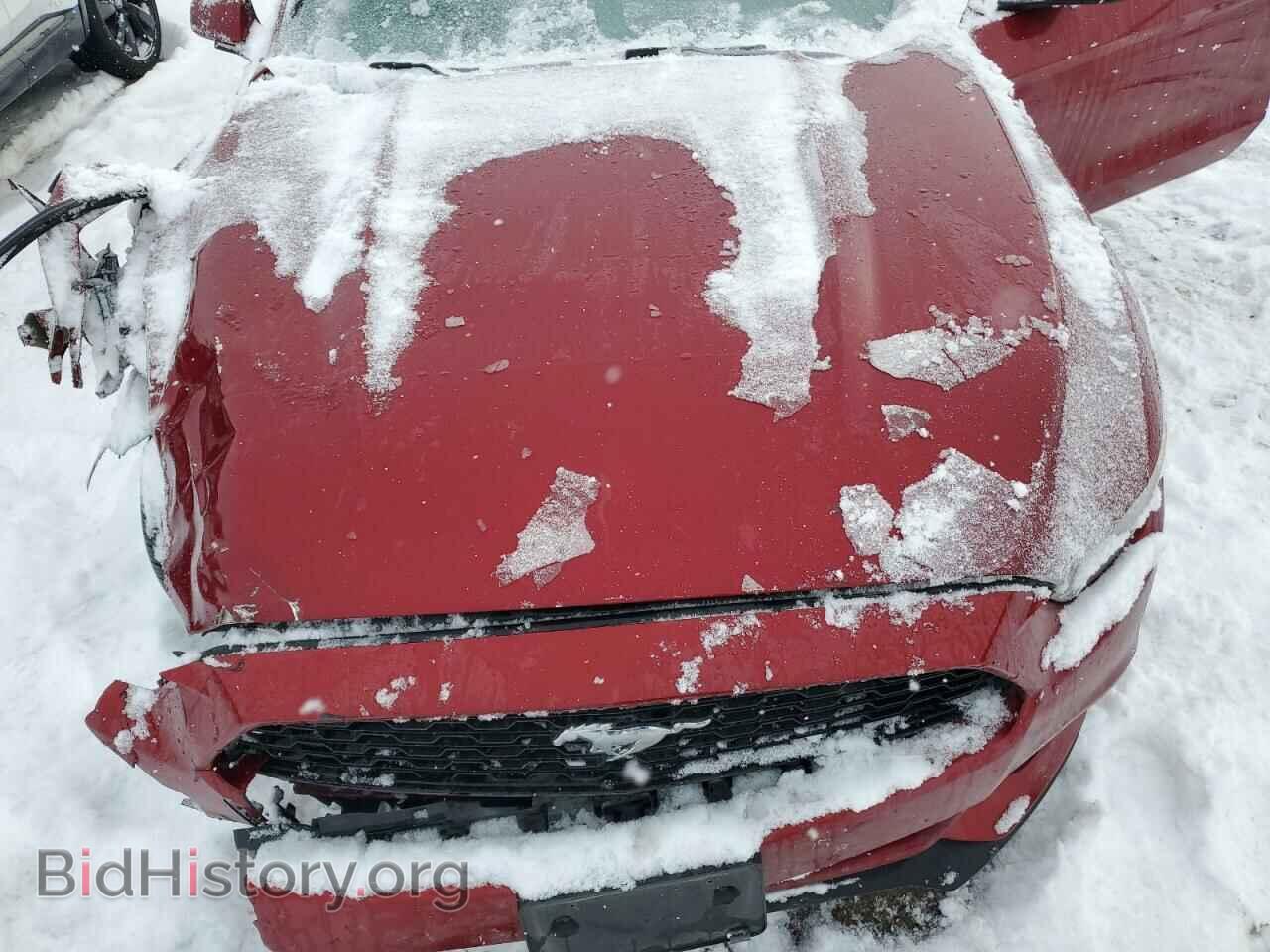 2017 FORD ALL Models - VIN: 1FA6P8THXH5203388 - Фото 11