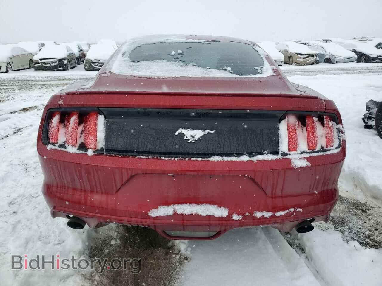 2017 FORD ALL Models - VIN: 1FA6P8THXH5203388 - Фото 6