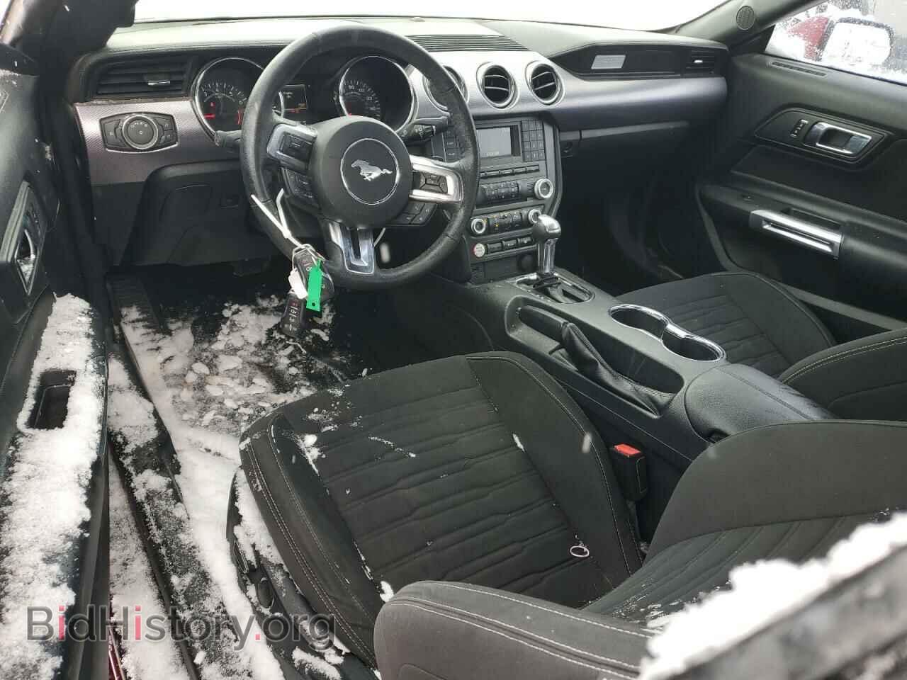 2017 FORD ALL Models - VIN: 1FA6P8THXH5203388 - Фото 8