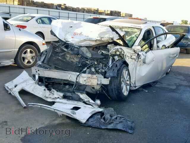 2010 LEXUS IS 250 - VIN: JTHBF5C21A5129000 - Фото 2
