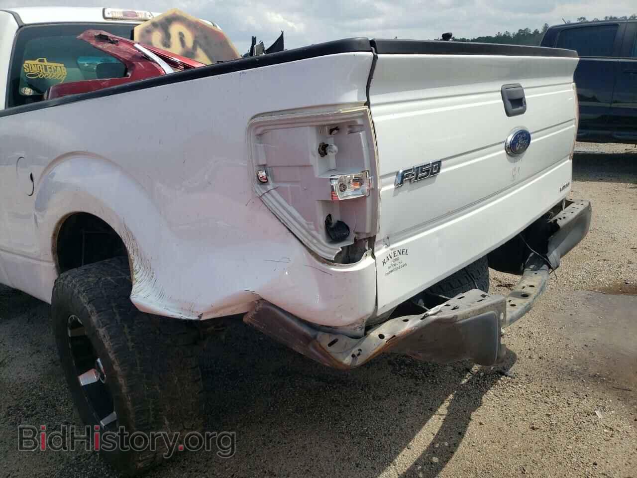 2013 FORD F150 - VIN: 1FTMF1CM5DFD08191 - Фото 9
