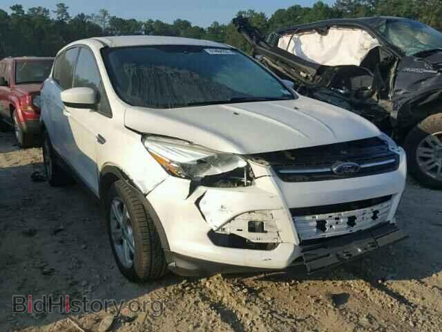 Photo 1FMCU0G9XDUC32539 - FORD ESCAPE 2013