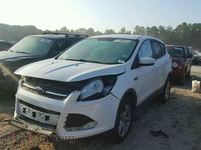 2013 FORD ESCAPE - VIN: 1FMCU0G9XDUC32539 - Photo 2