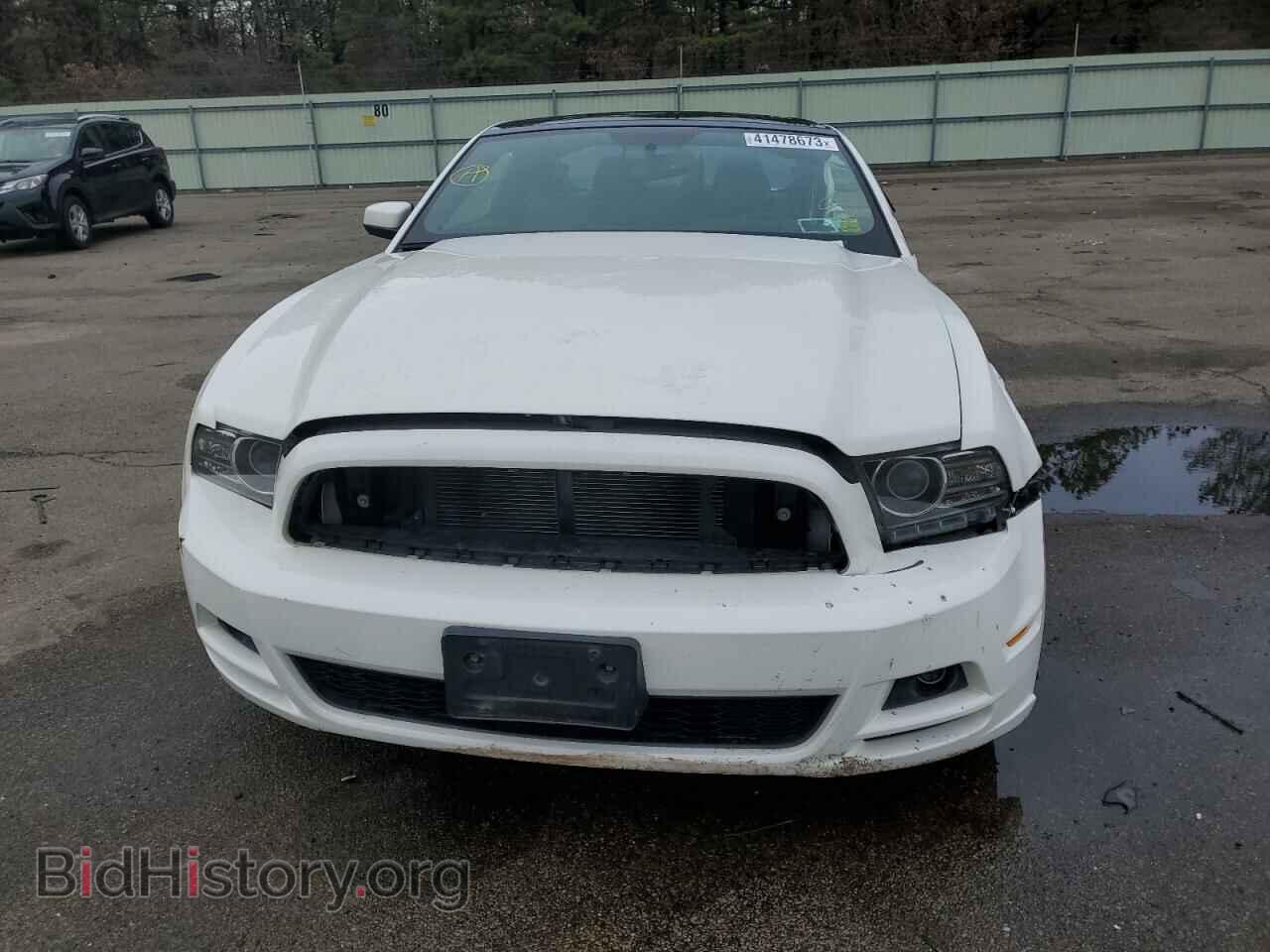 2013 FORD MUSTANG - VIN: 1ZVBP8AM0D5228042 - Фото 5