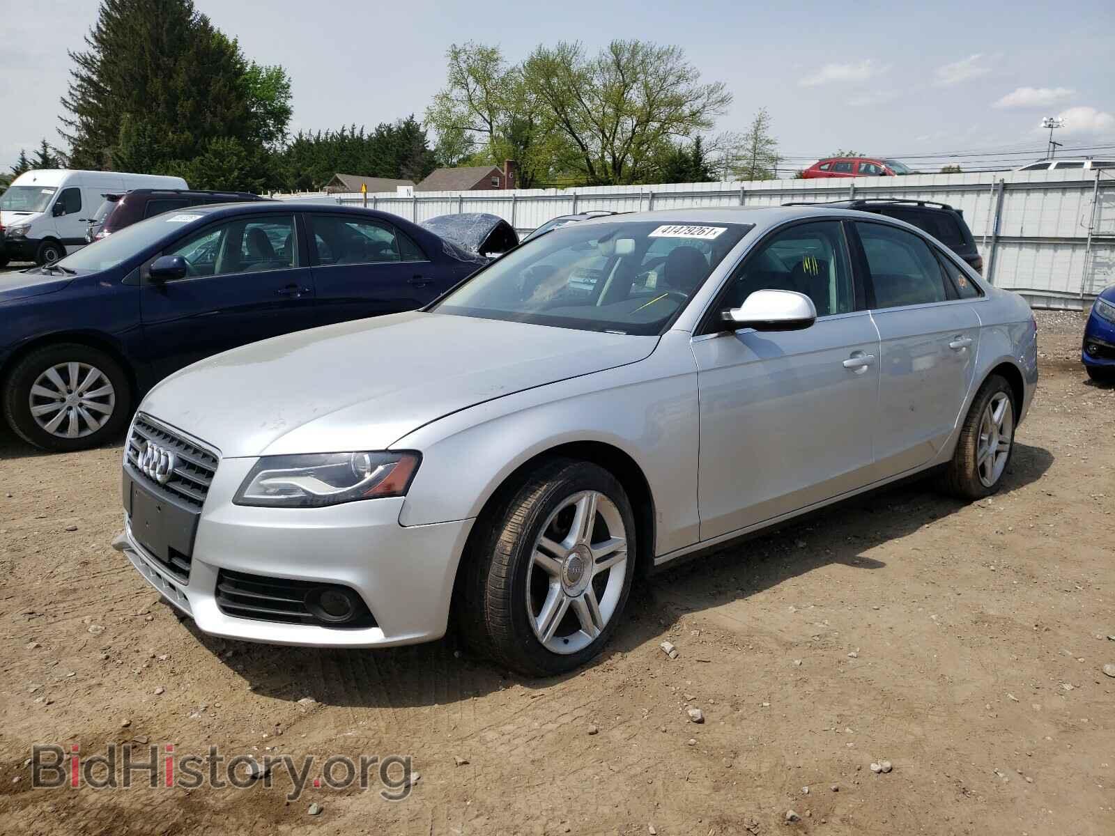 2010 AUDI A4 - VIN: WAUFFAFL9AN039784 - Фото 2