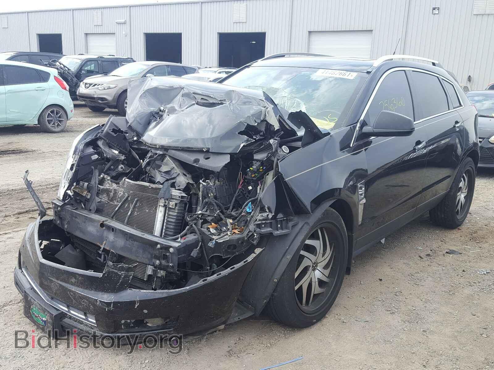 2011 CADILLAC SRX - VIN: 3GYFNFEY3BS559514 - Фото 2