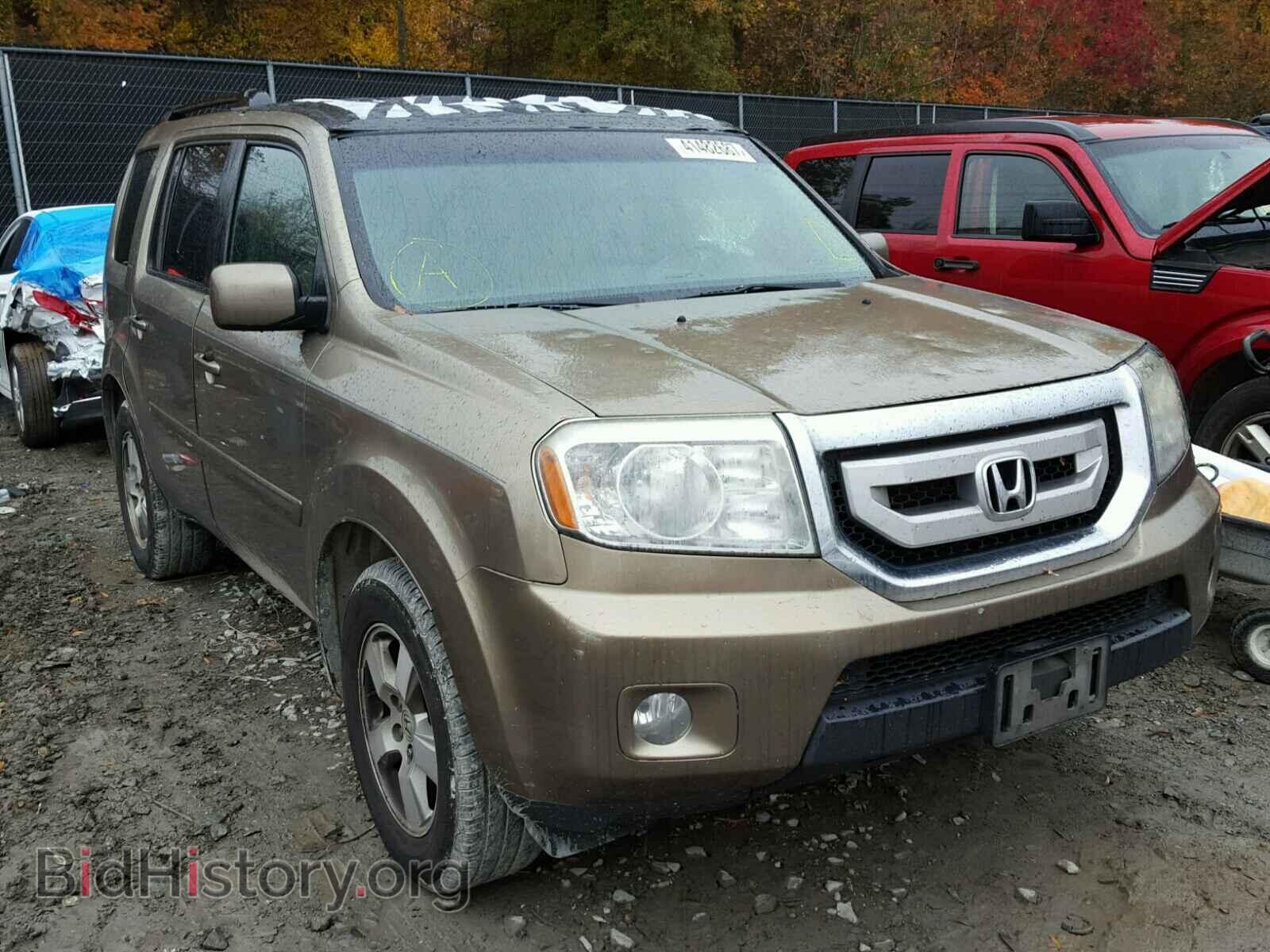 Фотография 5FNYF3H54BB022039 - HONDA PILOT 2011