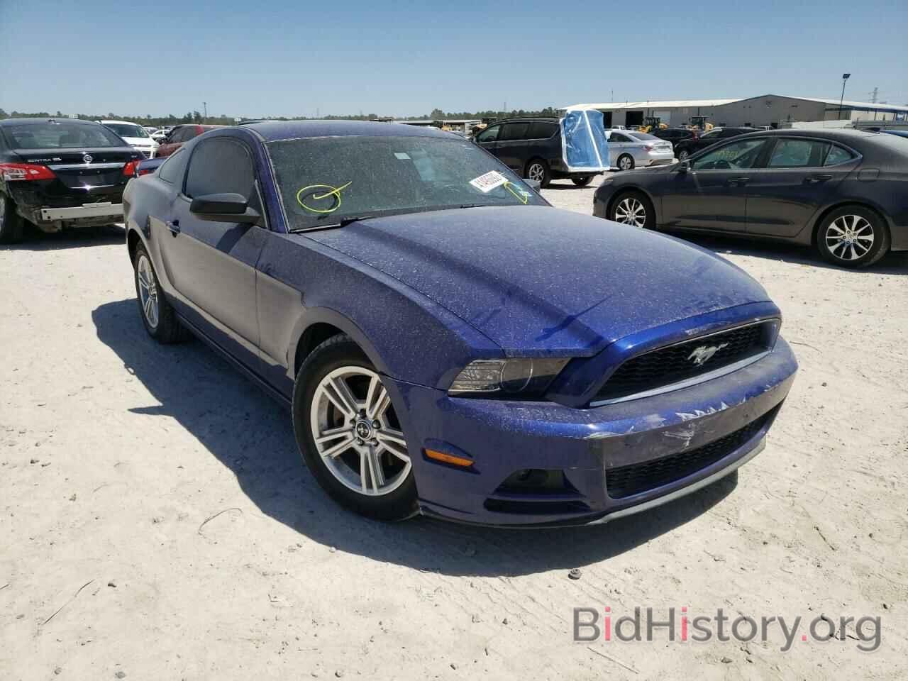 Photo 1ZVBP8AM0E5270048 - FORD MUSTANG 2014