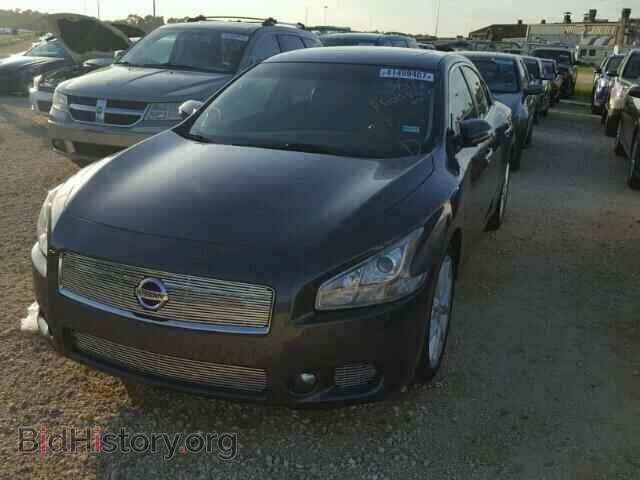 2009 NISSAN MAXIMA - VIN: 1N4AA51E09C844372 - Фото 2