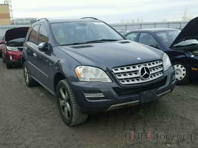 Фотография 4JGBB2FB9AA559433 - MERCEDES-BENZ ML350 2010