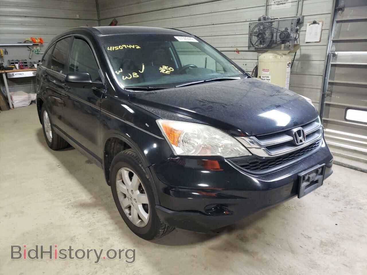Photo 5J6RE4H47BL099323 - HONDA CRV 2011