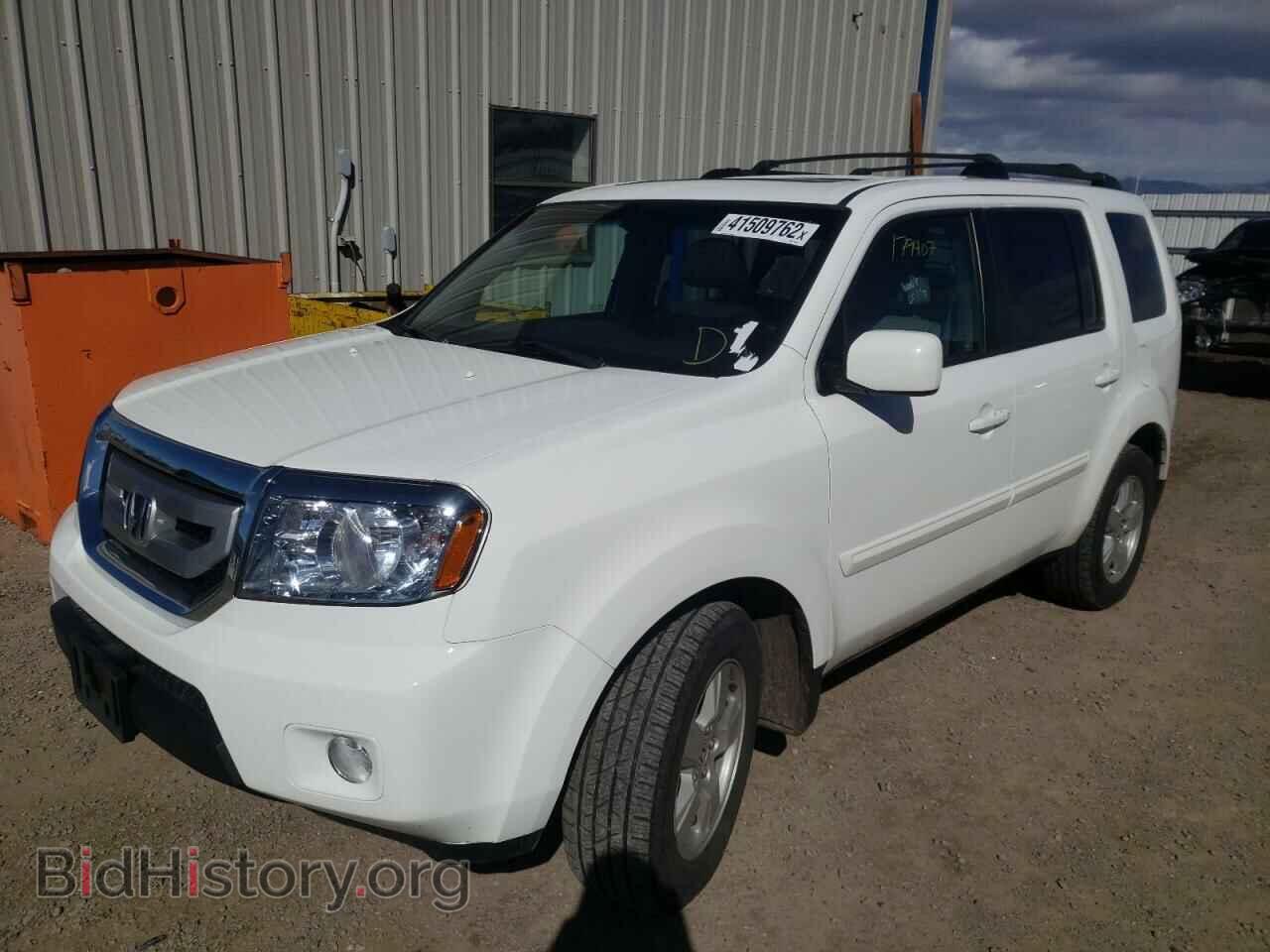 2009 HONDA PILOT - VIN: 5FNYF48619B041933 - Фото 2