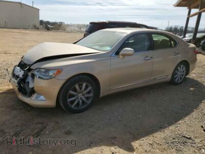 2007 Lexus LS460 460, gold — VIN JTHBL46F475032271, Copart