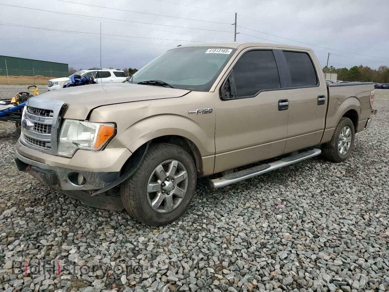 Фотография 1FTFW1CF4DFA71736 - FORD F-150 2013
