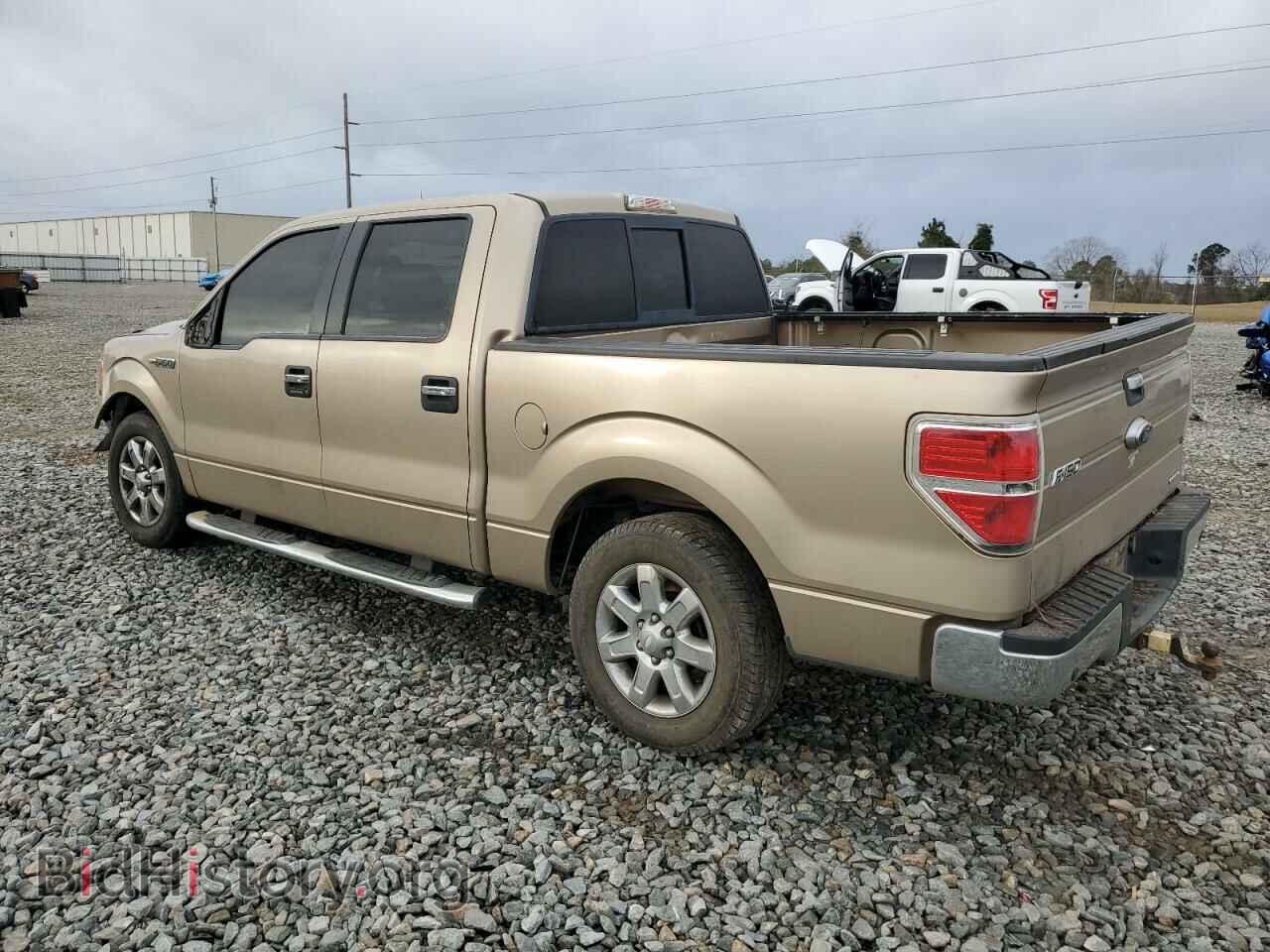 2013 FORD F-150 - VIN: 1FTFW1CF4DFA71736 - Фото 2