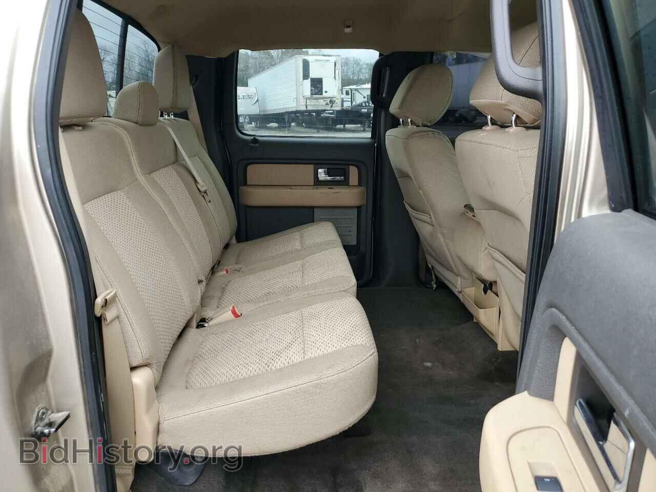 2013 FORD F-150 - VIN: 1FTFW1CF4DFA71736 - Фото 10