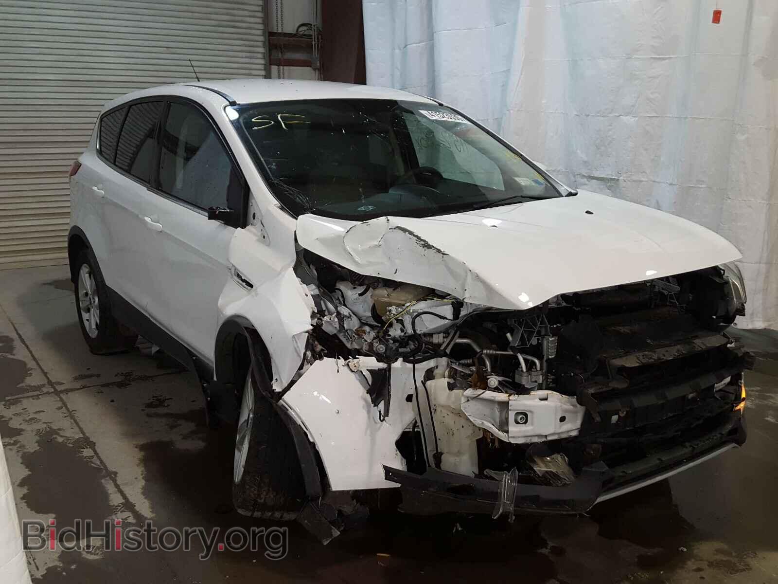 Photo 1FMCU0GXXEUD02847 - FORD ESCAPE 2014