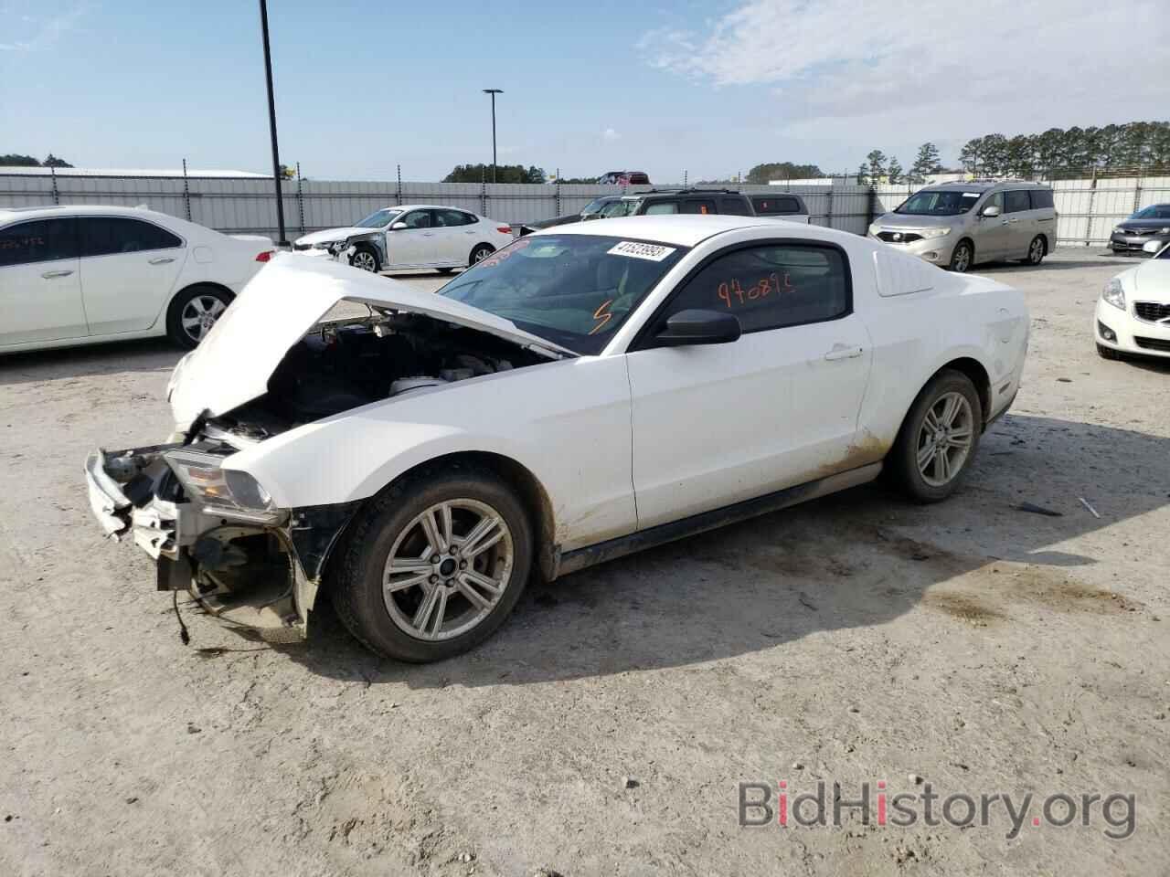 Photo 1ZVBP8AN5A5134047 - FORD MUSTANG 2010