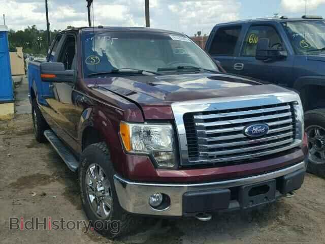 Фотография 1FTFX1EV6AKE41394 - FORD F150 2010