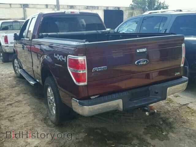 2010 FORD F150 - VIN: 1FTFX1EV6AKE41394 - Фото 3
