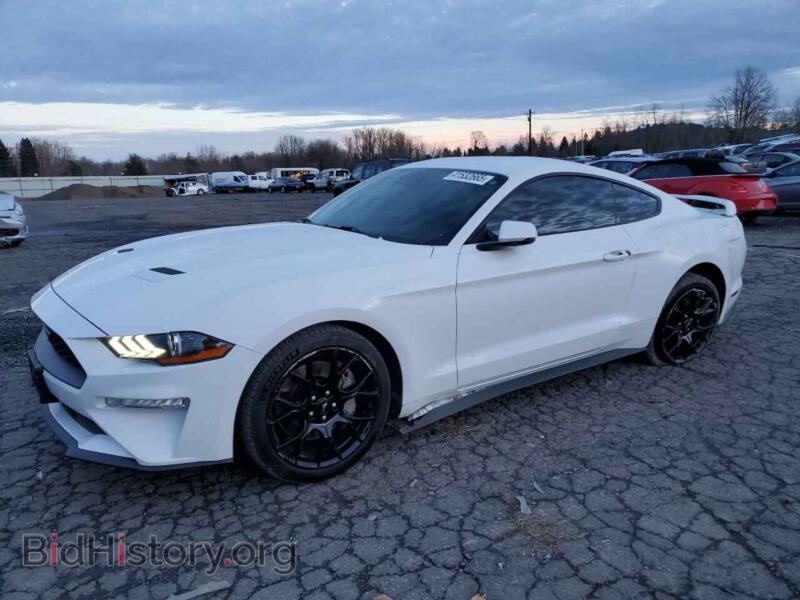 2019 Ford ALL MODELS (VIN 1FA6P8TH9K5125967) — фото 1 из 13, Copart, повреждение: днище