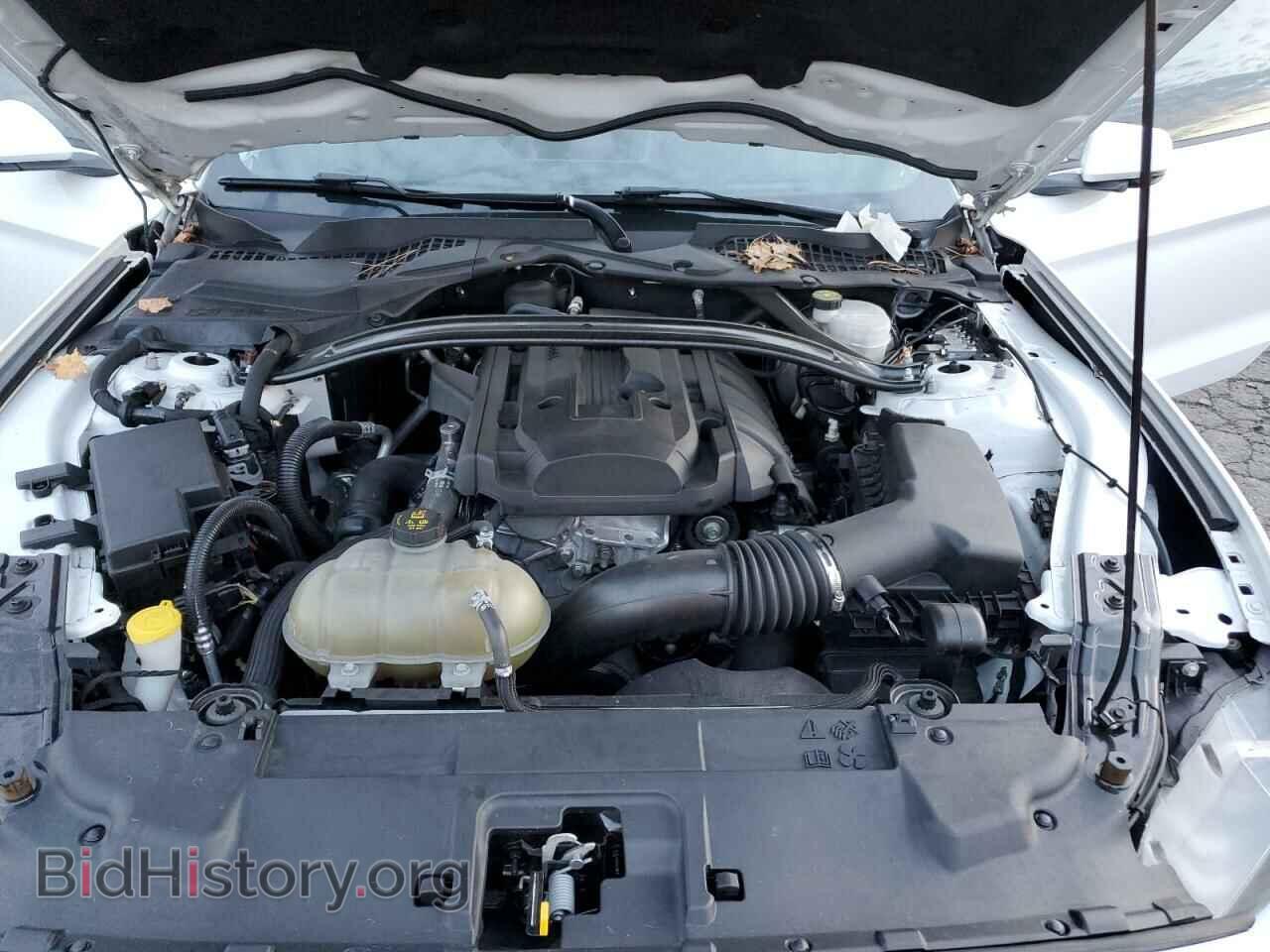 2019 FORD ALL Models - VIN: 1FA6P8TH9K5125967 - Photo 11