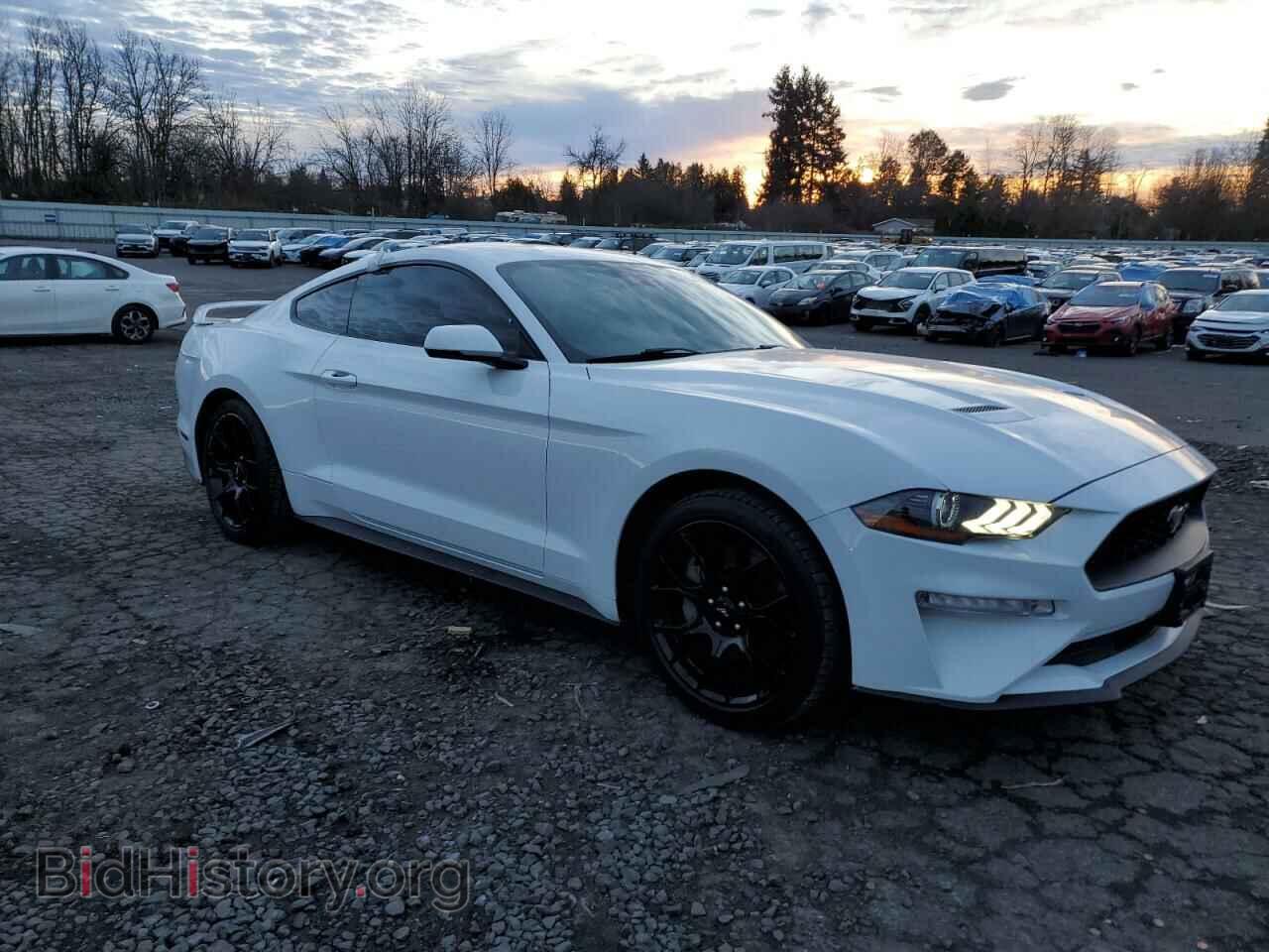 2019 FORD ALL Models - VIN: 1FA6P8TH9K5125967 - Photo 4