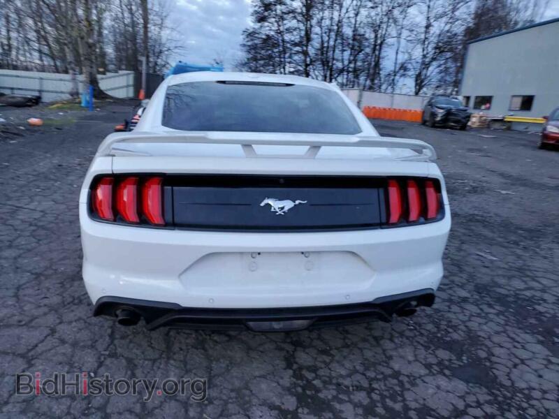 2019 Ford ALL MODELS (VIN 1FA6P8TH9K5125967) — фото 6 из 13