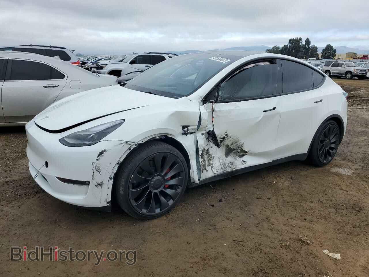 Фотография 7SAYGDEF6PF924461 - TESLA MODEL Y 2023