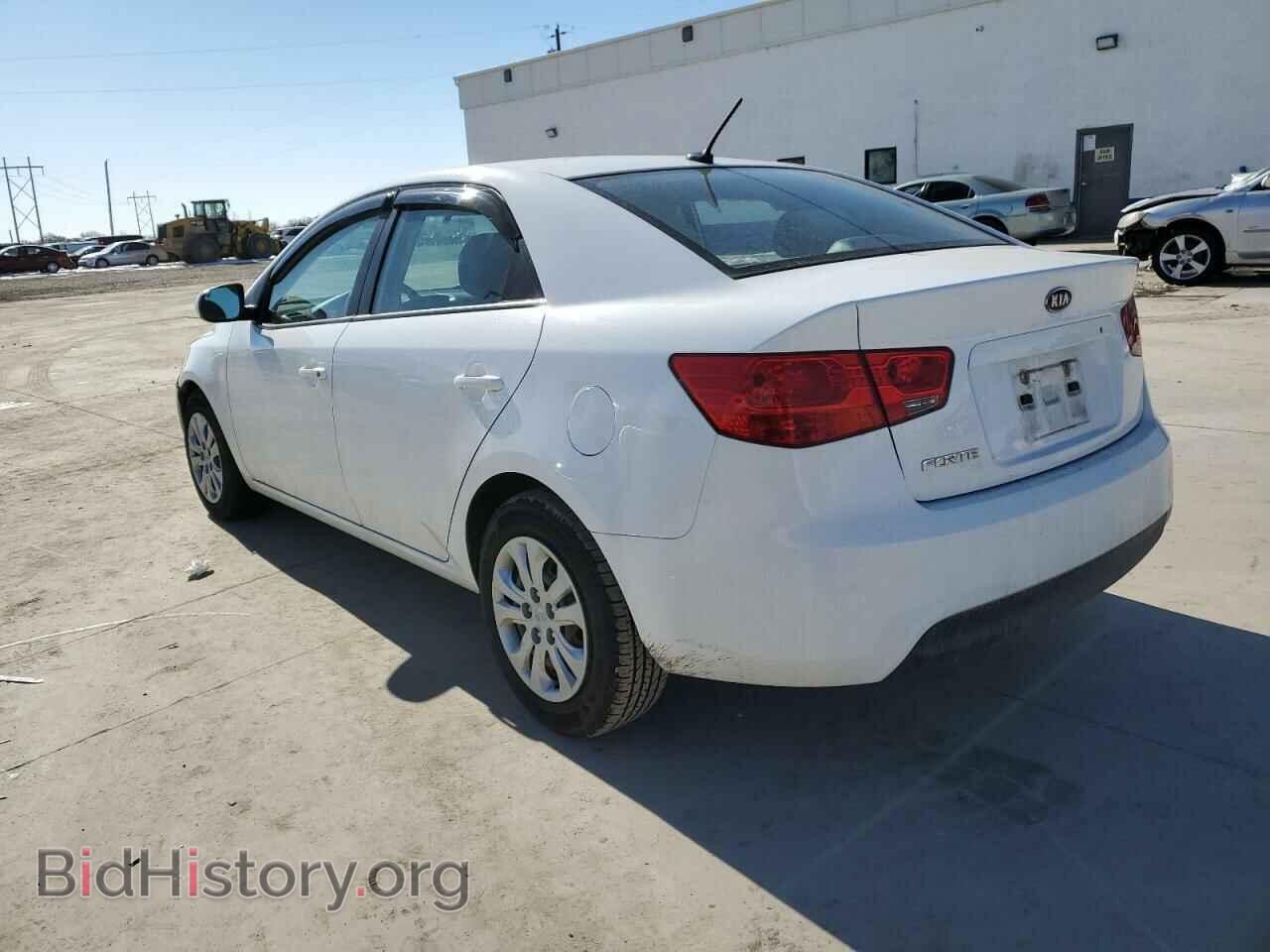 2011 KIA FORTE - VIN: KNAFT4A21B5358896 - Фото 2