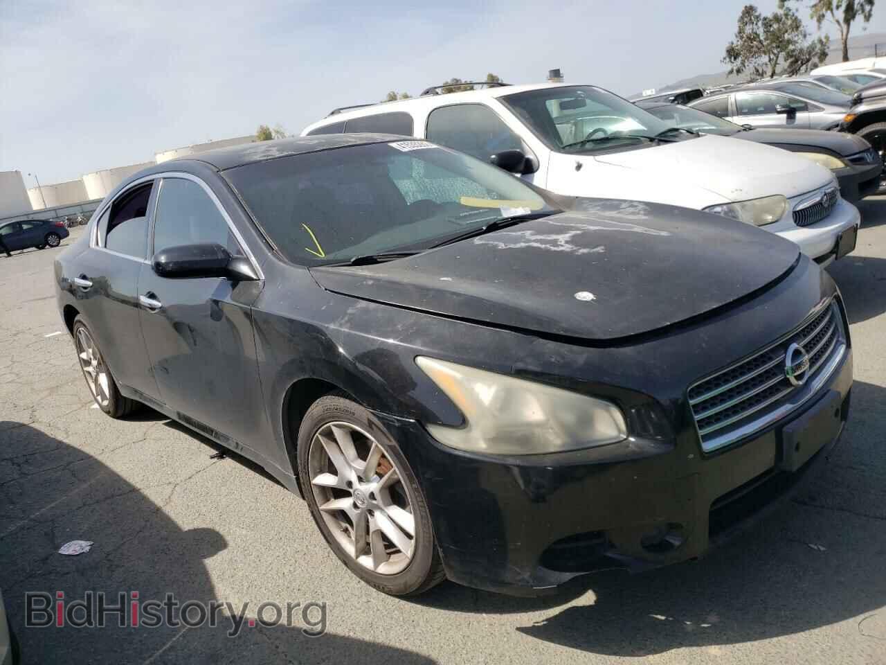 Фотография 1N4AA5AP0BC862572 - NISSAN MAXIMA 2011