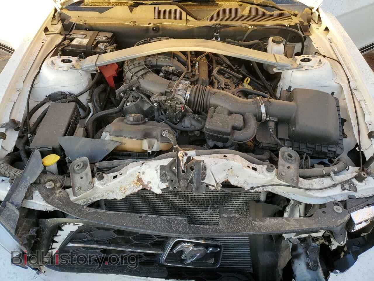 2011 FORD ALL Models - VIN: 1ZVBP8EM1B5125798 - Фото 13