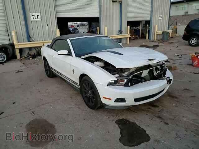 2011 FORD ALL Models - VIN: 1ZVBP8EM1B5125798 - Фото 10